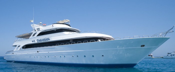 red sea north 01